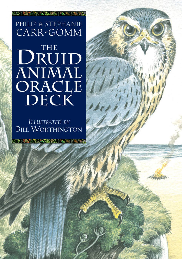 The Druid Animal Oracle Deck cover featuring a falcon perched on a coastal cliff — illustrated by Bill Worthington, by Philip and Stephanie Carr-Gomm