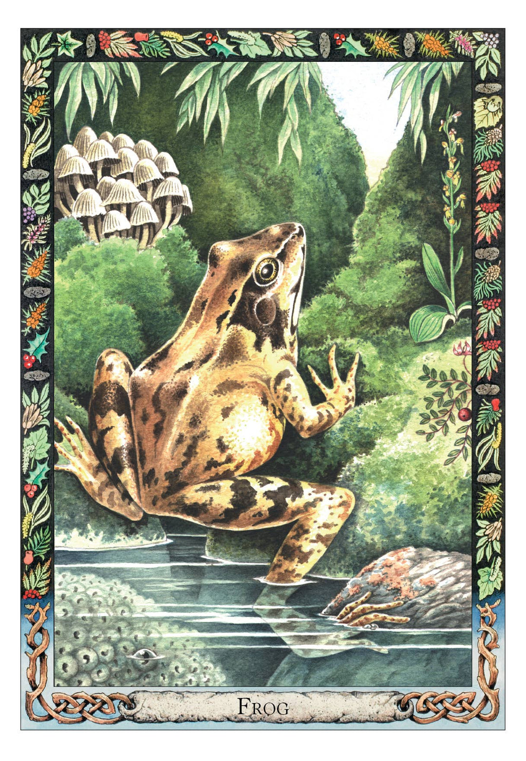 Druid Animal Oracle Frog card — frog beside a forest pool with mushrooms and frogspawn, framed by Celtic botanical border