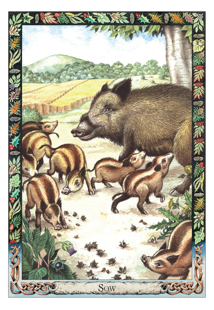 Druid Animal Oracle Sow card — wild boar with piglets in a Celtic landscape with detailed floral and botanical border