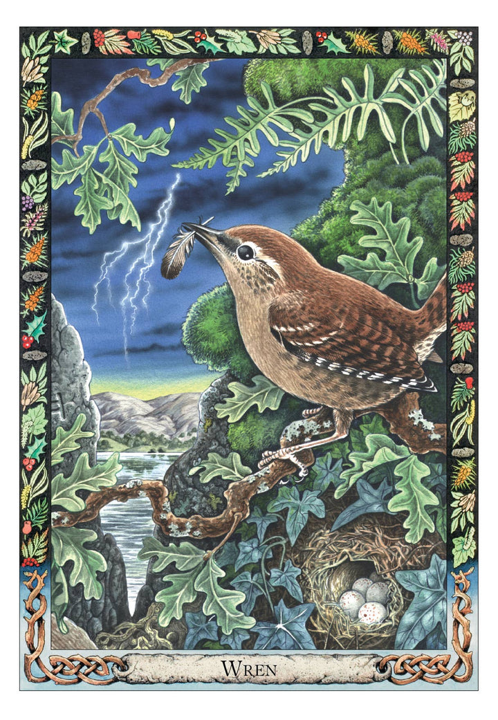 Druid Animal Oracle Wren card — wren carrying a feather in a stormy oak forest with lightning and nest, Celtic botanical border