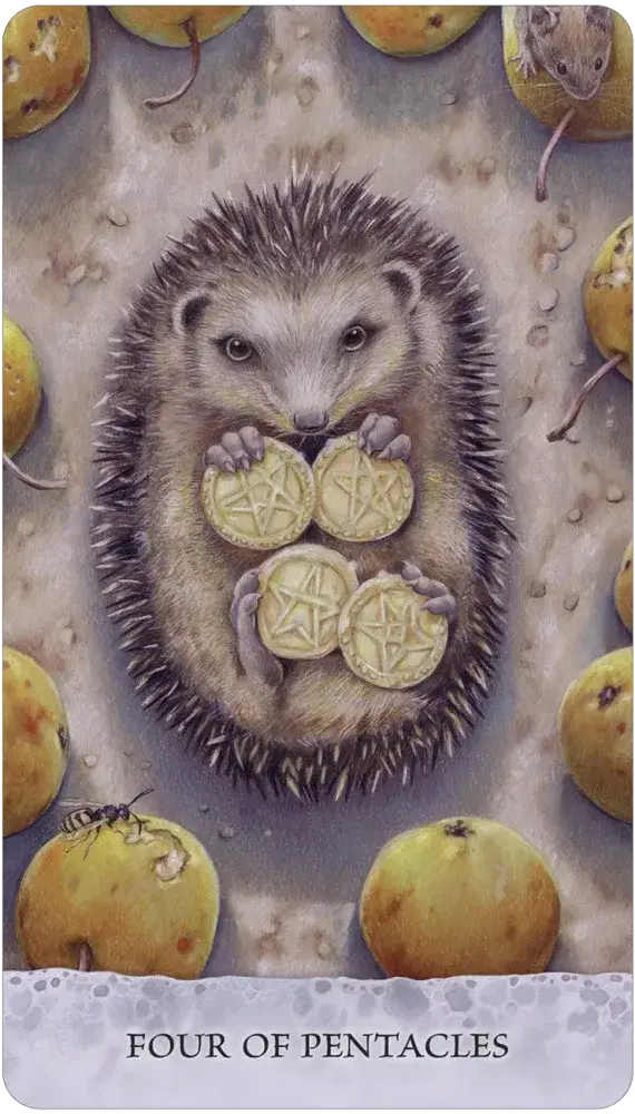 Tarot of Tides: Duck Named Bob - 78 Card Deck & Guidebook