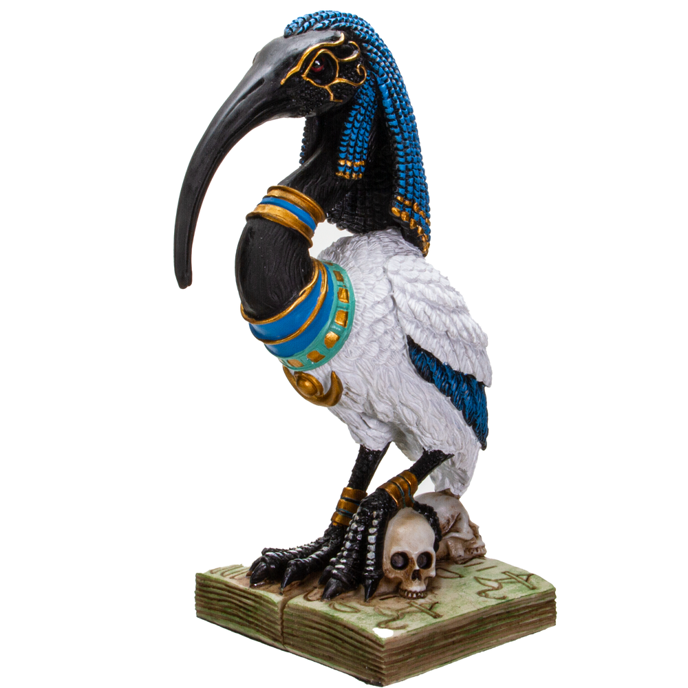 Egyptian Thoth figurine front view — beautifully painted ibis-headed god of wisdom and magic, cold cast resin, 8 inches tall with skull  and book base