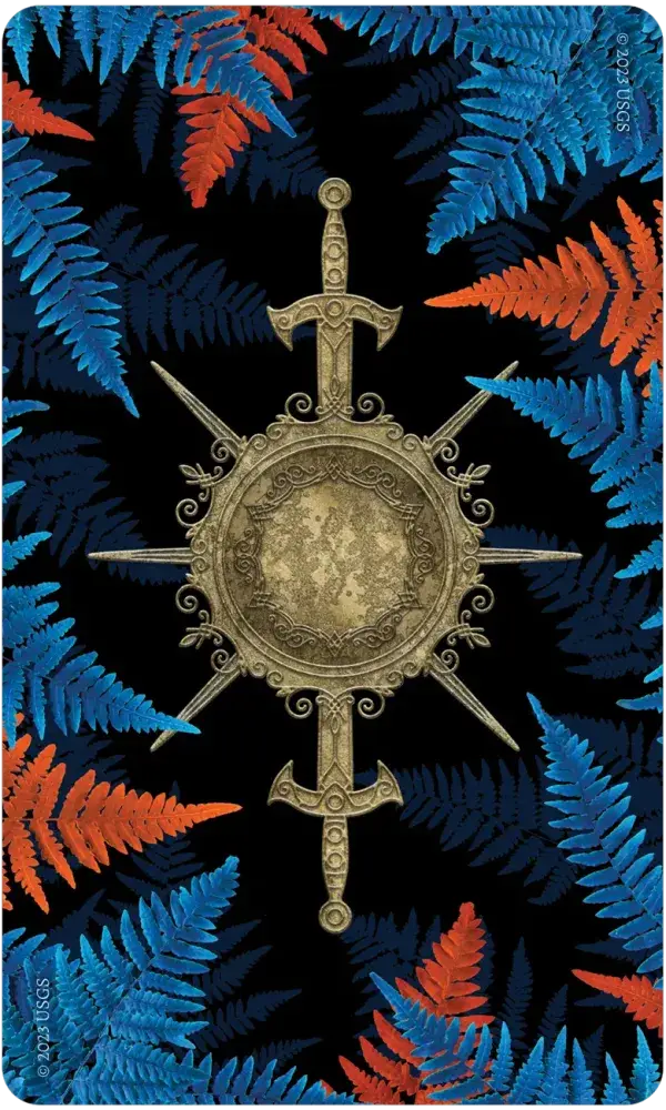 Fearless Fight Like a Girl Oracle card back — gold compass and crossed sword design on a black background surrounded by blue and orange fern fronds