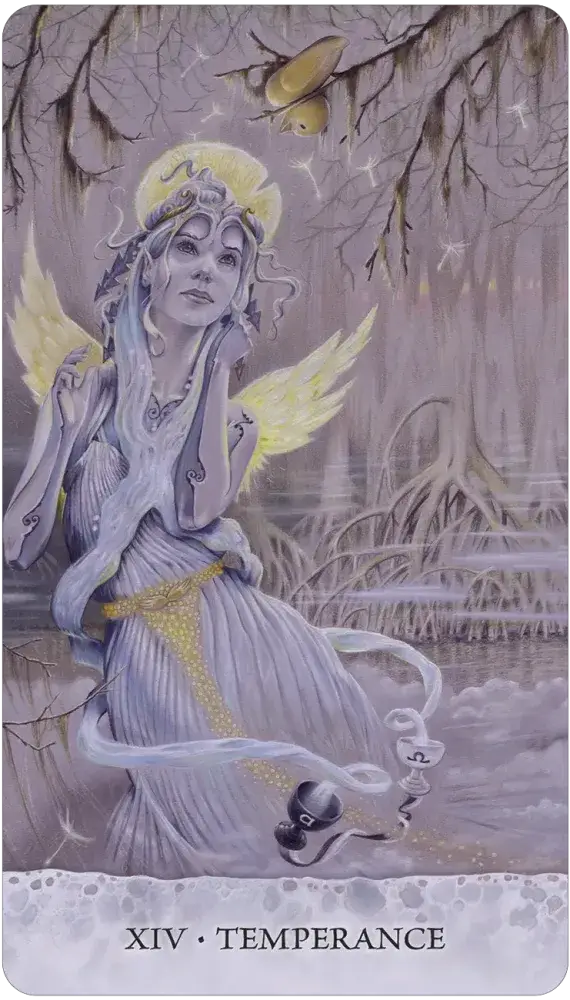 Tarot of Tides: Duck Named Bob - 78 Card Deck & Guidebook