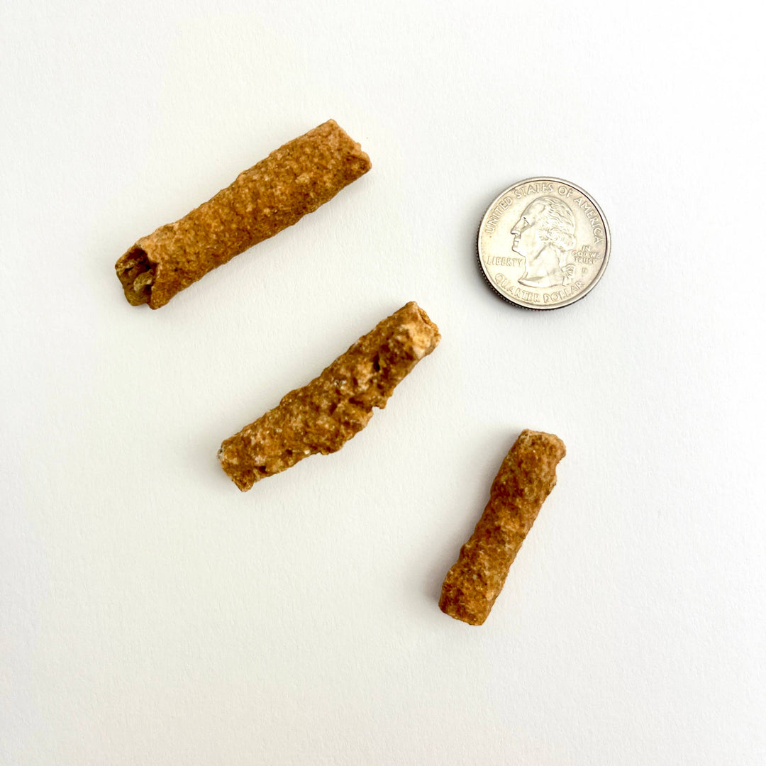 Close-up of fulgurite petrified lightning showing hollow tube created by 50,000 degree lightning strike