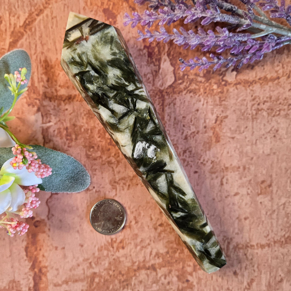 Green mica quartz wand point with quarter coin for size reference, approximately 7.5 inches, styled with botanicals