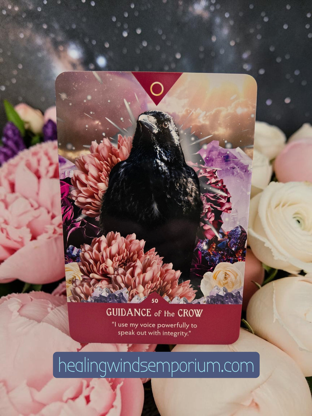 Guidance from Gaia Oracle – Crow animal spirit guide card, ornate full-color illustration by Shannon Kaiser