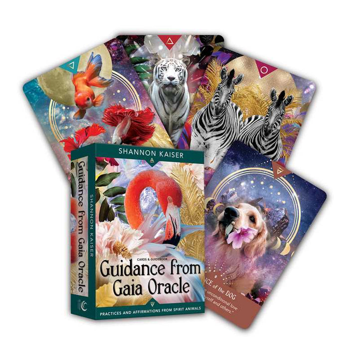 Guidance from Gaia Oracle box with fanned animal spirit guide cards by Shannon Kaiser