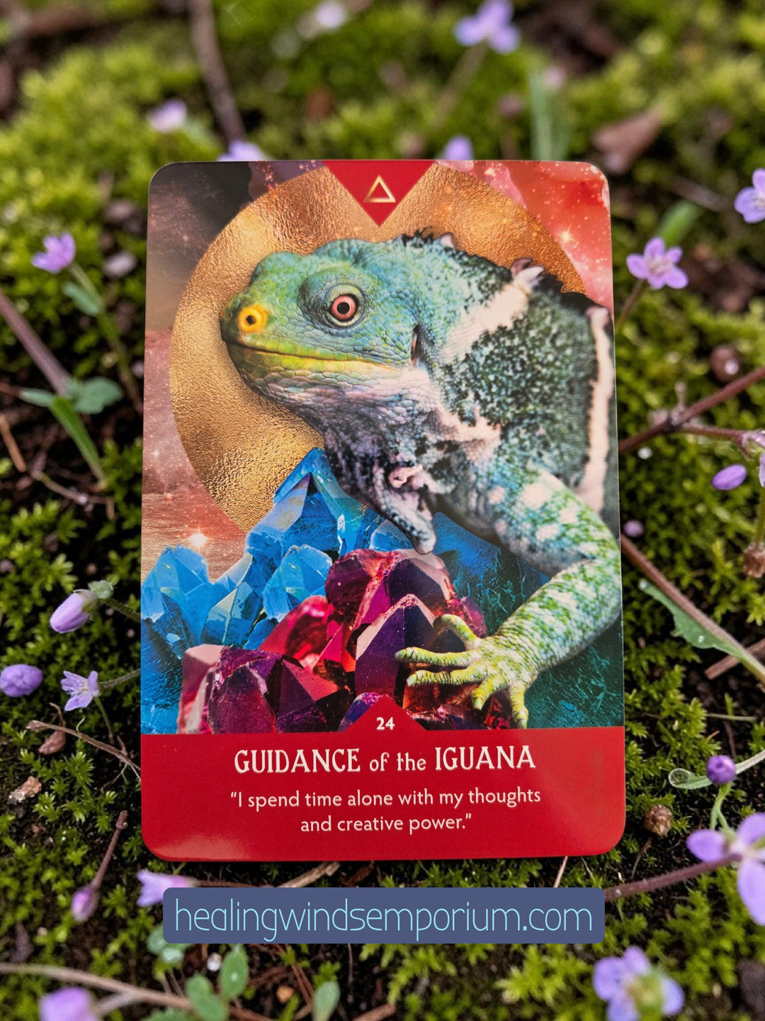 Guidance from Gaia Oracle – Iguana animal spirit guide card, ornate full-color illustration by Shannon Kaiser