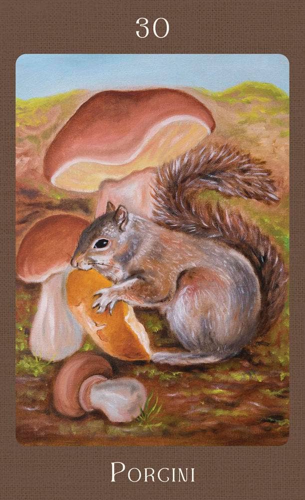 Mushroom Folk Oracle card 30 — Porcini — featuring a painted grey squirrel clutching a golden porcini mushroom cap beneath large brown mushrooms in an autumn forest setting