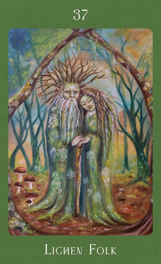 Mushroom Folk Oracle card 37 — Lichen Folk — depicting two ancient moss-covered tree spirit figures with branching hair embracing beneath a natural woodland arch with mushrooms at their feet