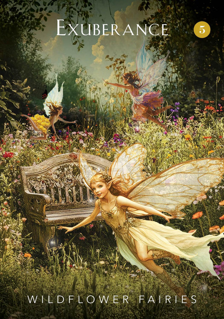 Exuberance card with fairies from the Mystical Garden Oracle by Denise Linn — fairy oracle card deck