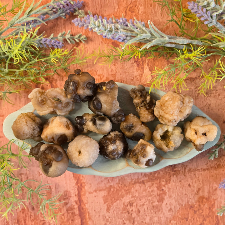 Collection of natural raw Panda Agate truffle chalcedony crystals on sage dish with lavender accents