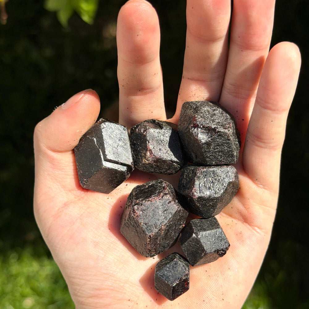 Hand holding natural rough garnet crystals outdoors showing size reference