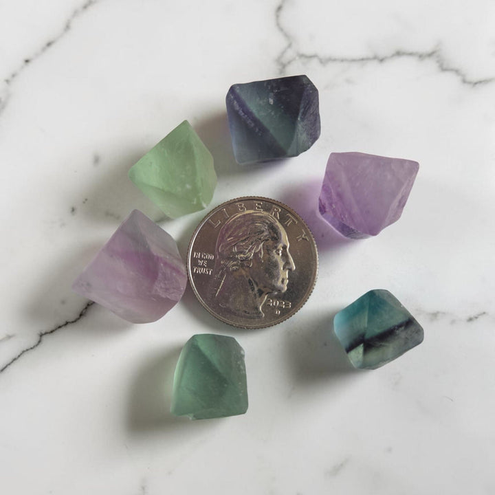 Six natural rainbow fluorite octahedrons arranged around a quarter for size reference, showing green, purple, teal, and lavender color variations on a white marble surface