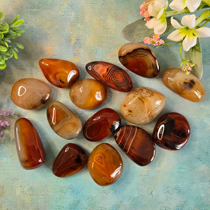 Collection of large polished Sardonyx tumbled stones showing natural red, orange, and brown banding variation, styled with botanicals
