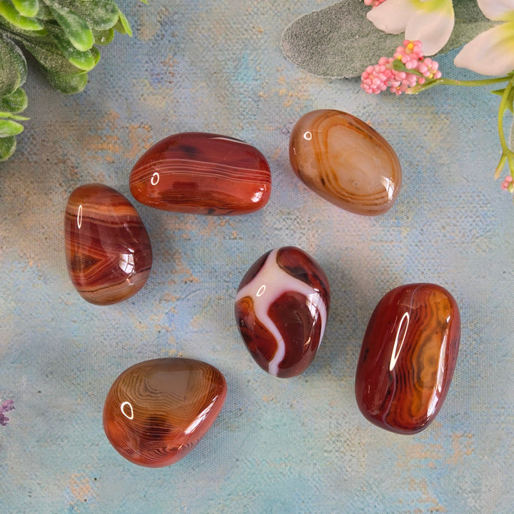 Six medium polished Sardonyx tumbled stones showing rich red, amber, and white banding, August birthstone healing crystal