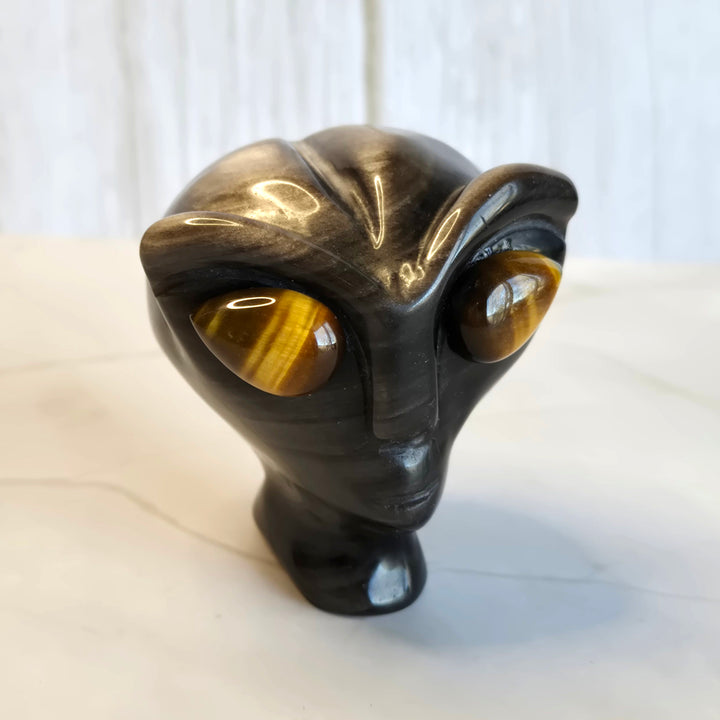 Hand-carved silver sheen obsidian alien head with tiger eye stone eyes, protective crystal carving