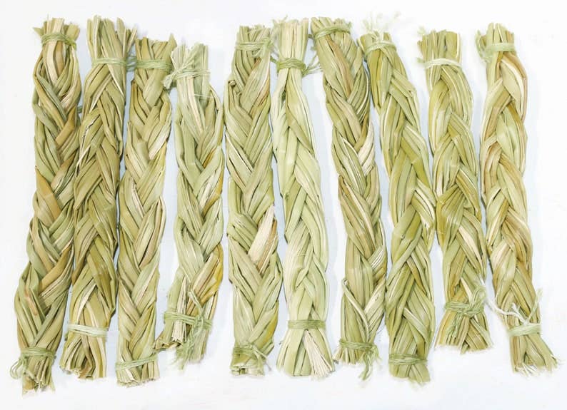 Small green sweetgrass braids arranged side by side on a white background.