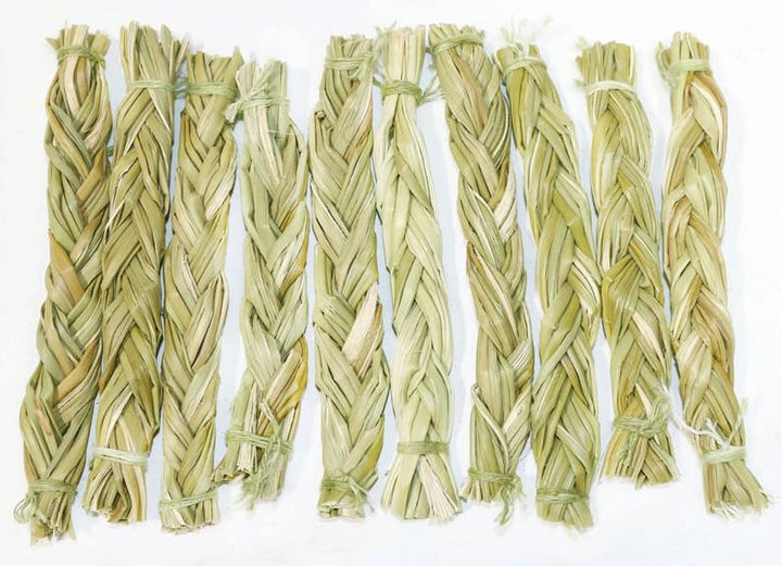Small green sweetgrass braids arranged side by side on a white background.