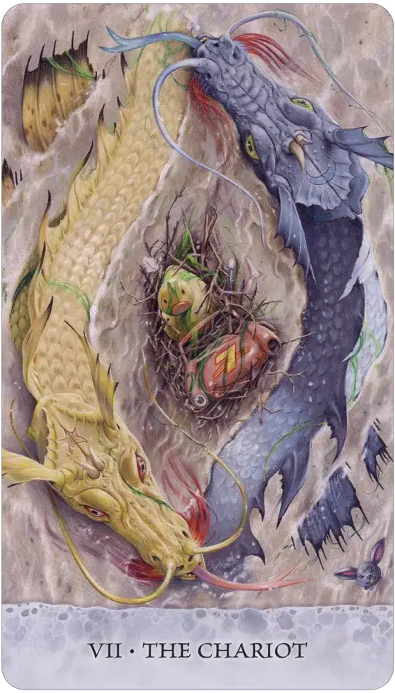 Tarot of Tides sample cards showing whimsical ocean-themed illustrations