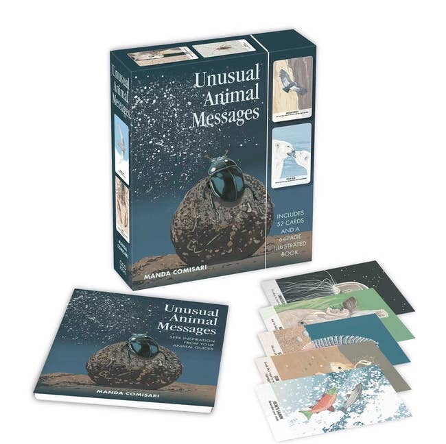 Unusual Animal Messages oracle deck box featuring 52 cards with uncommon animal illustrations by Manda Comisari
