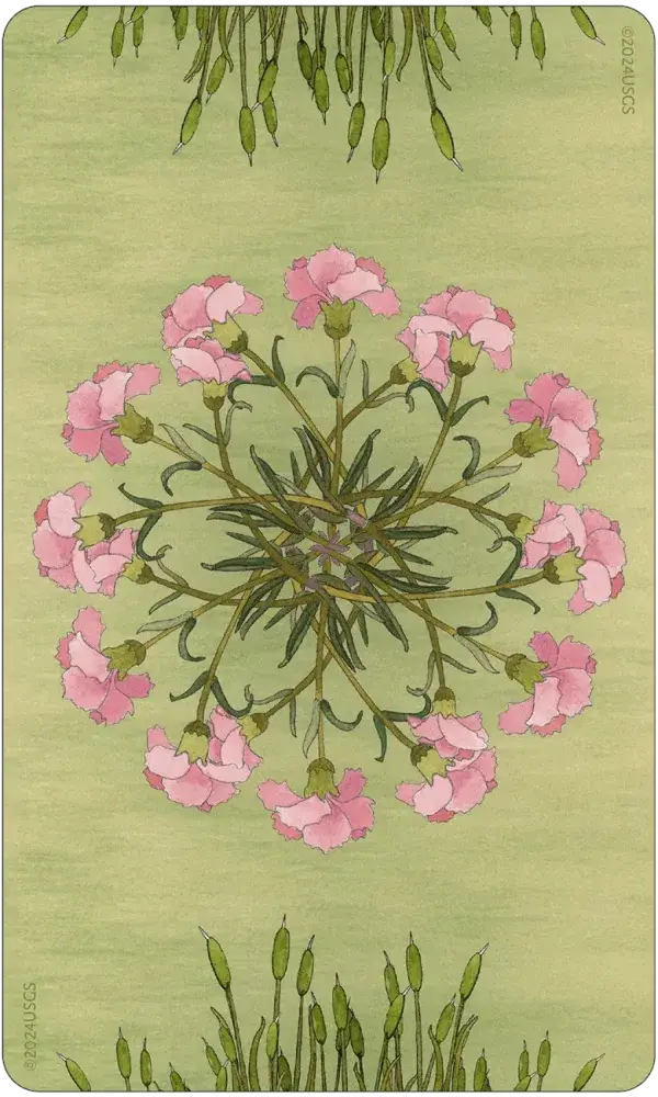Wing Hoof and Paw Animal Companion Oracle card back — pink carnation mandala on a sage green background with botanical border detail