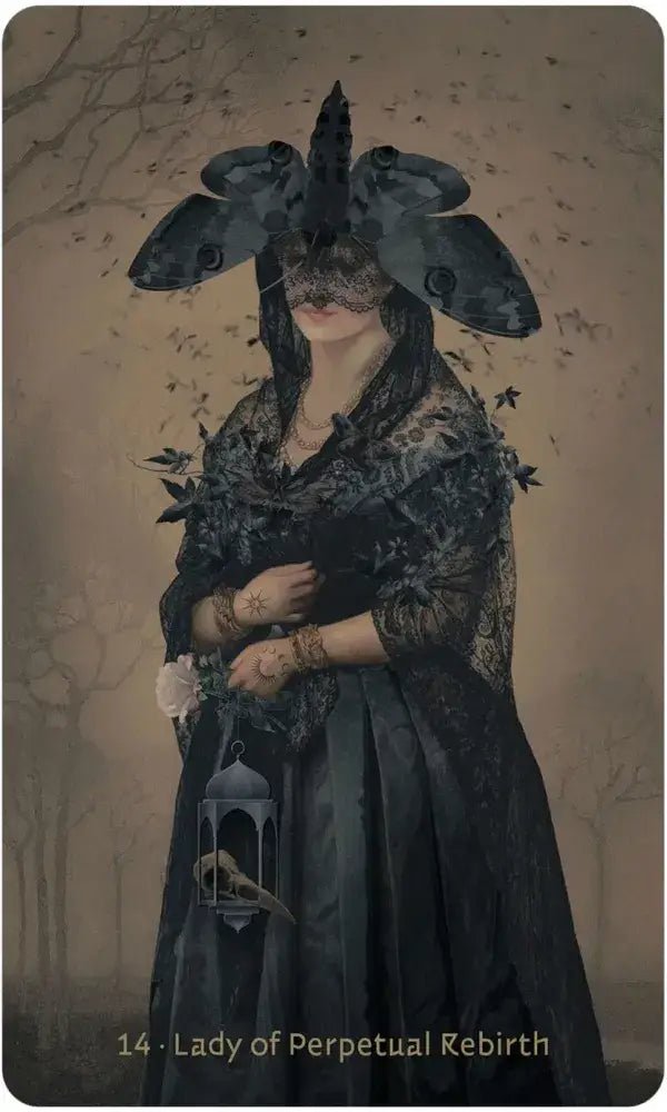 W.I.T.C.H. Oracle card 14 — Lady of Perpetual Rebirth: veiled woman in black lace with moth wings headdress holding a birdcage lantern by Silas Toball