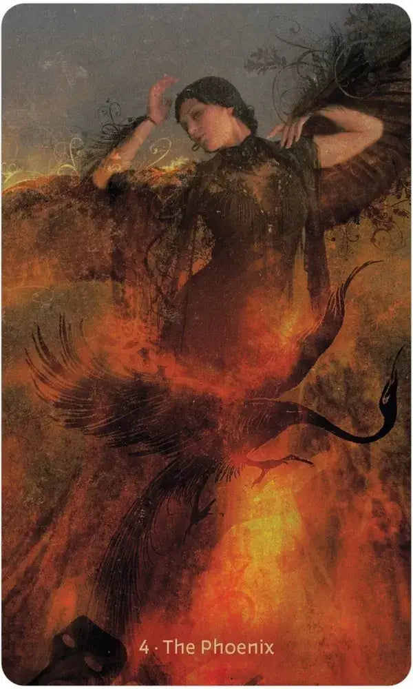 W.I.T.C.H. Oracle card 4 — The Phoenix: woman rising from flames with dark wings by Silas Toball